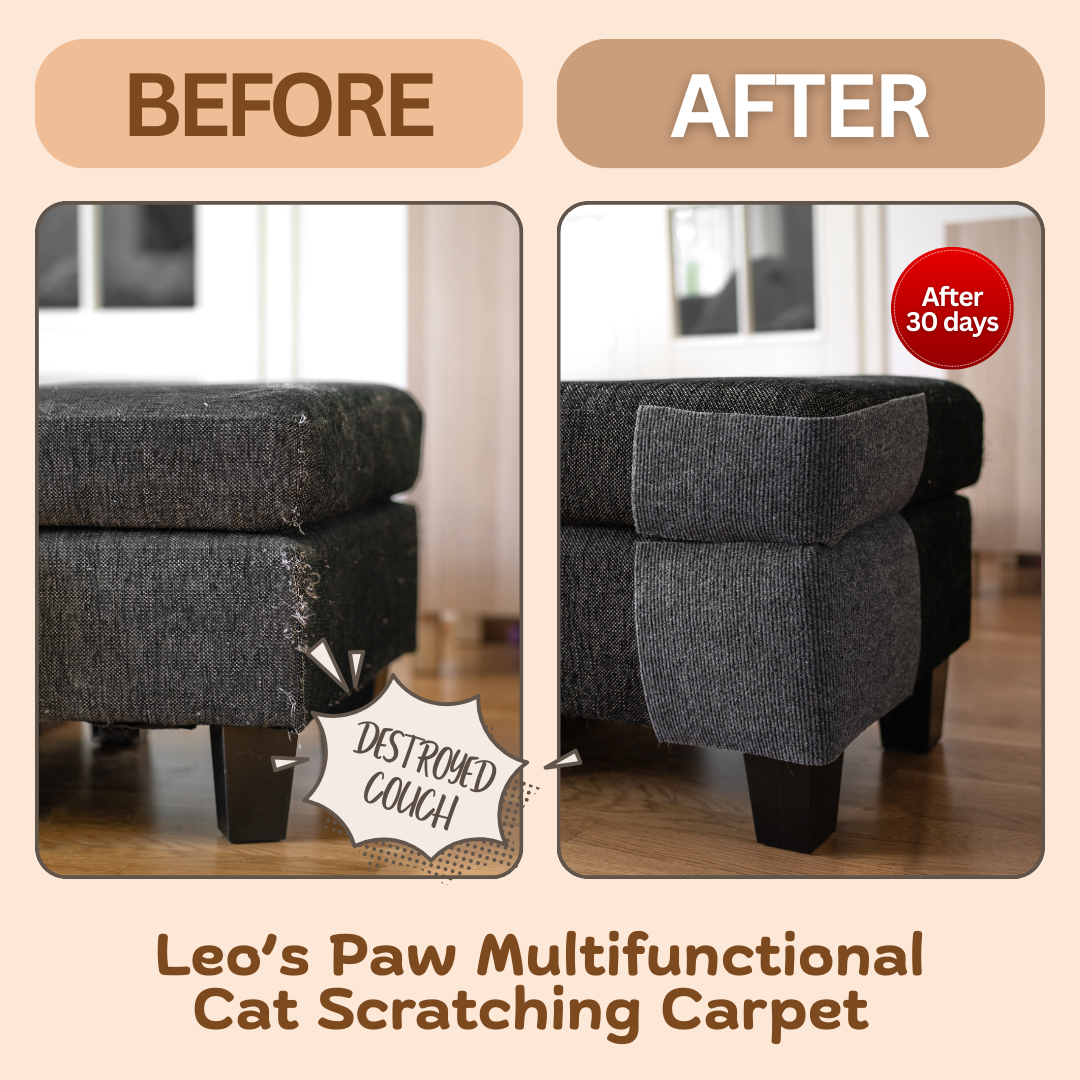 Leo's Paw Facebook ad