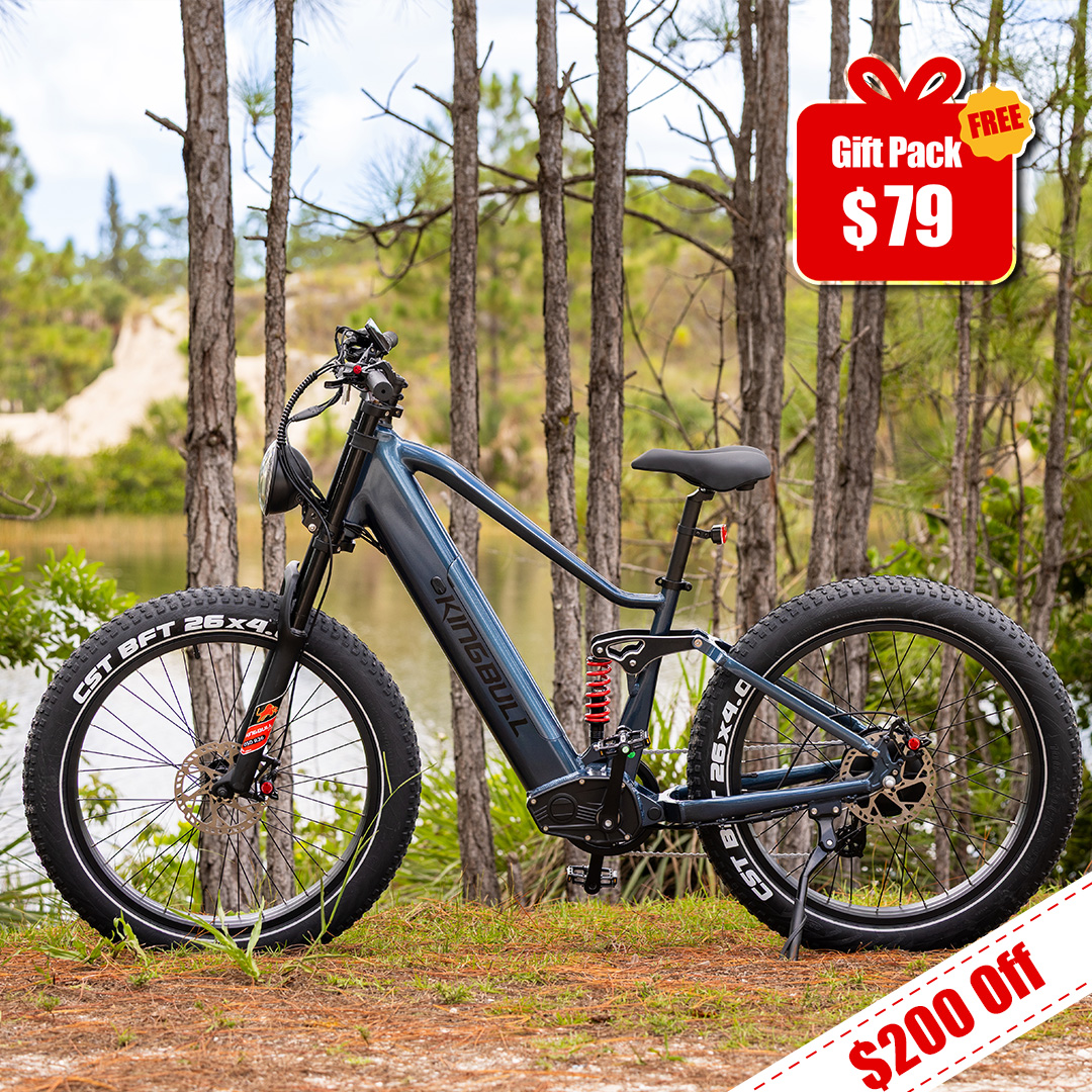Kingbull Bikes Facebook ad