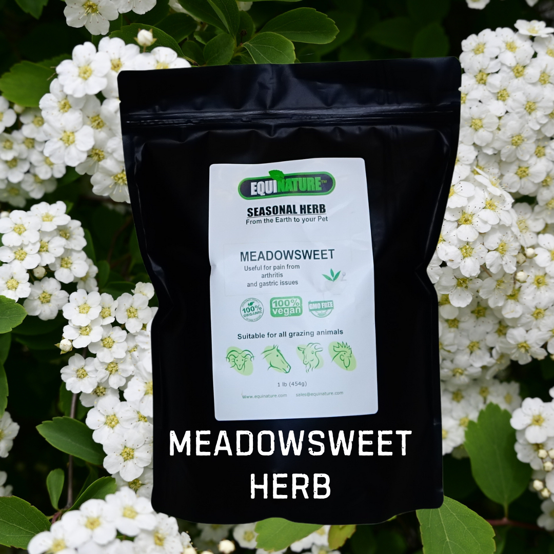 Equinature Products Facebook ad: All-Natural Herbs for Horses