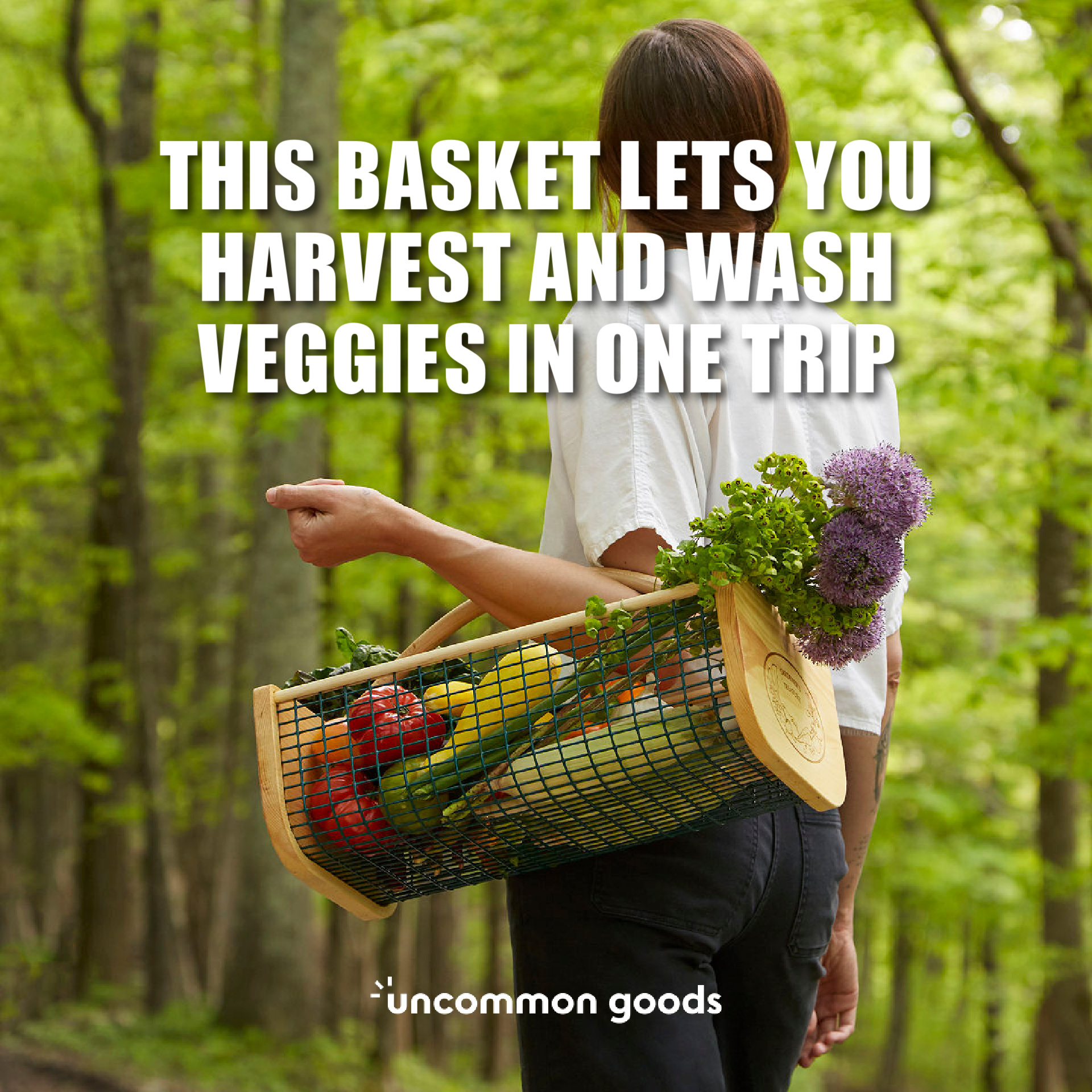 Uncommon Goods Facebook ad