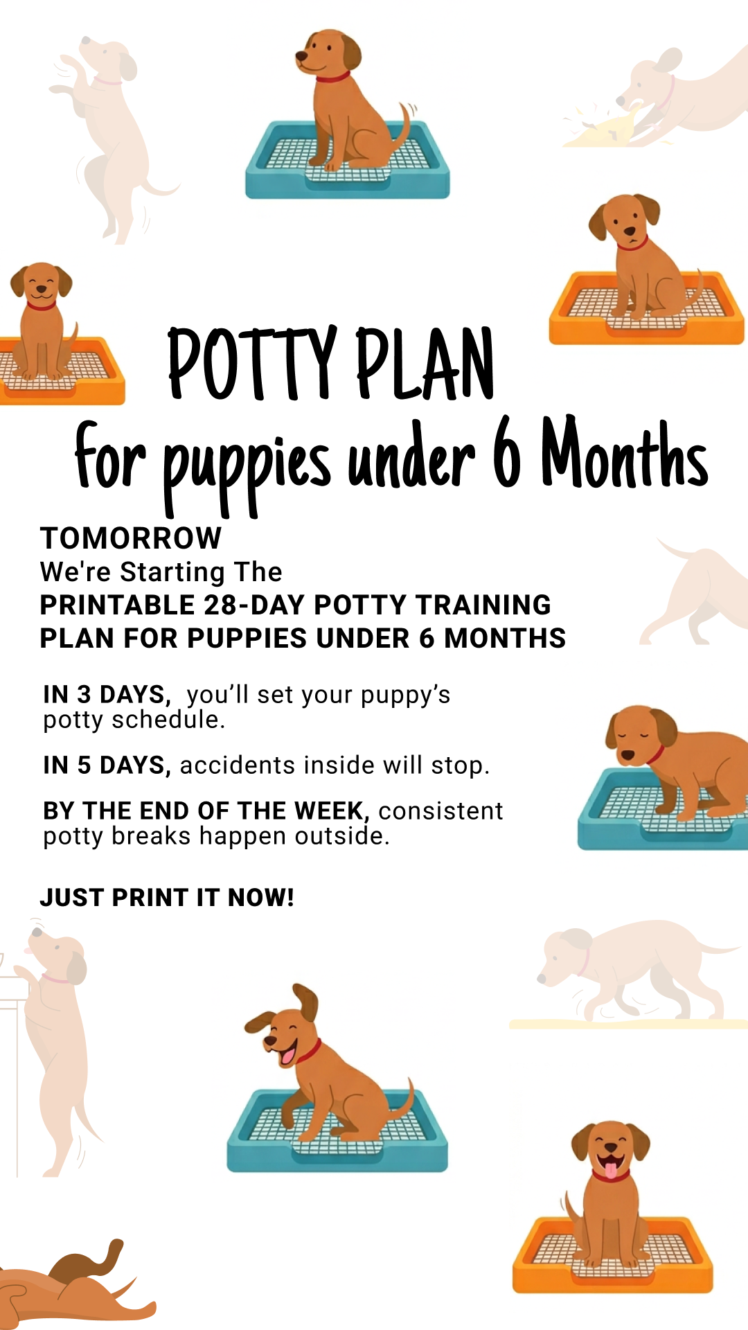 Woofz - Puppy Training Facebook ad
