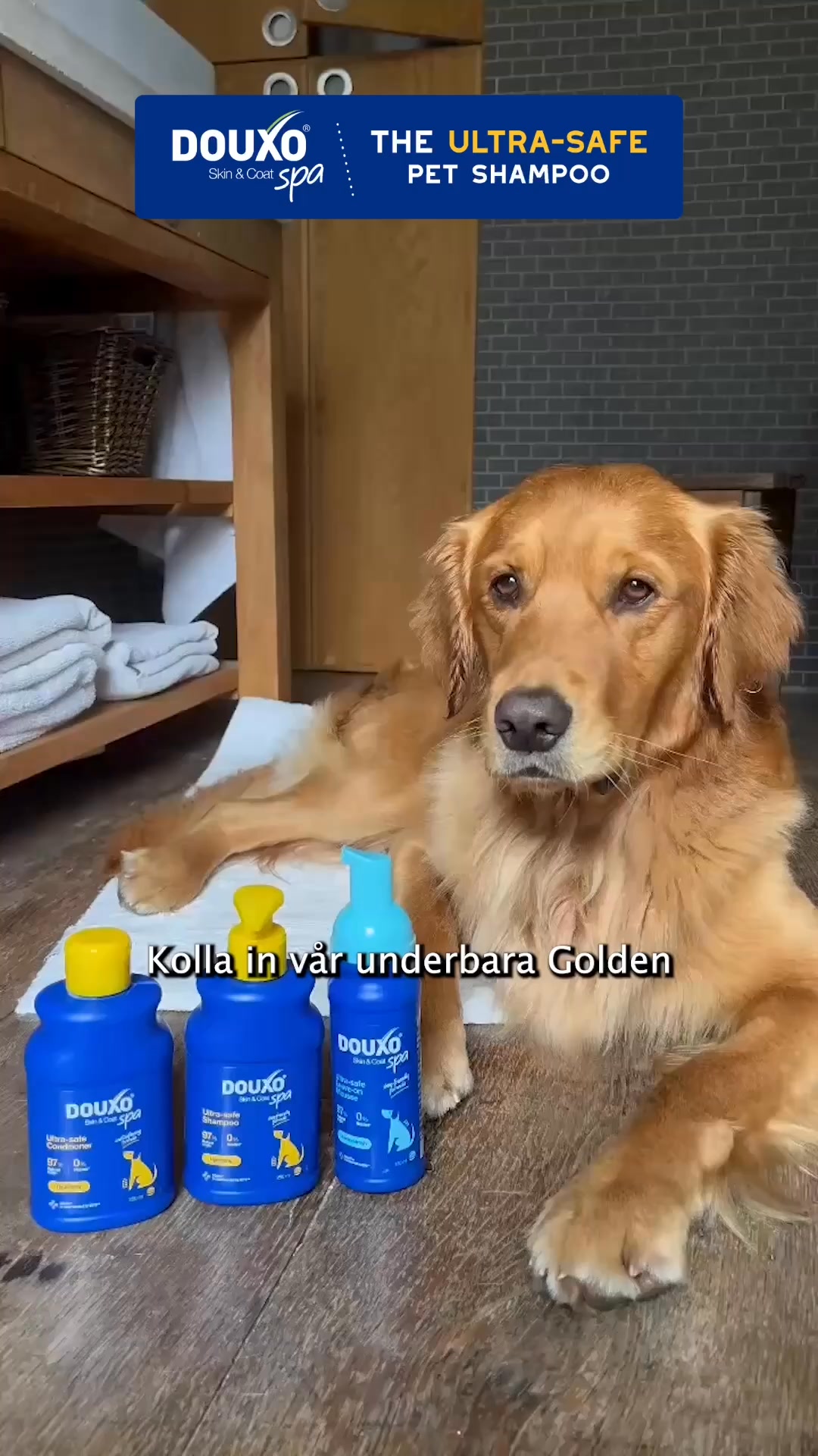 DOUXO Sverige Facebook ad: Digby älskar att bli smutsig ute Därför använder…