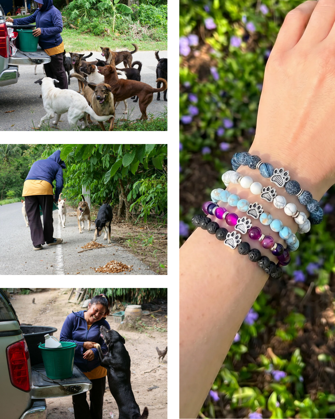 Rescue Paws Facebook ad