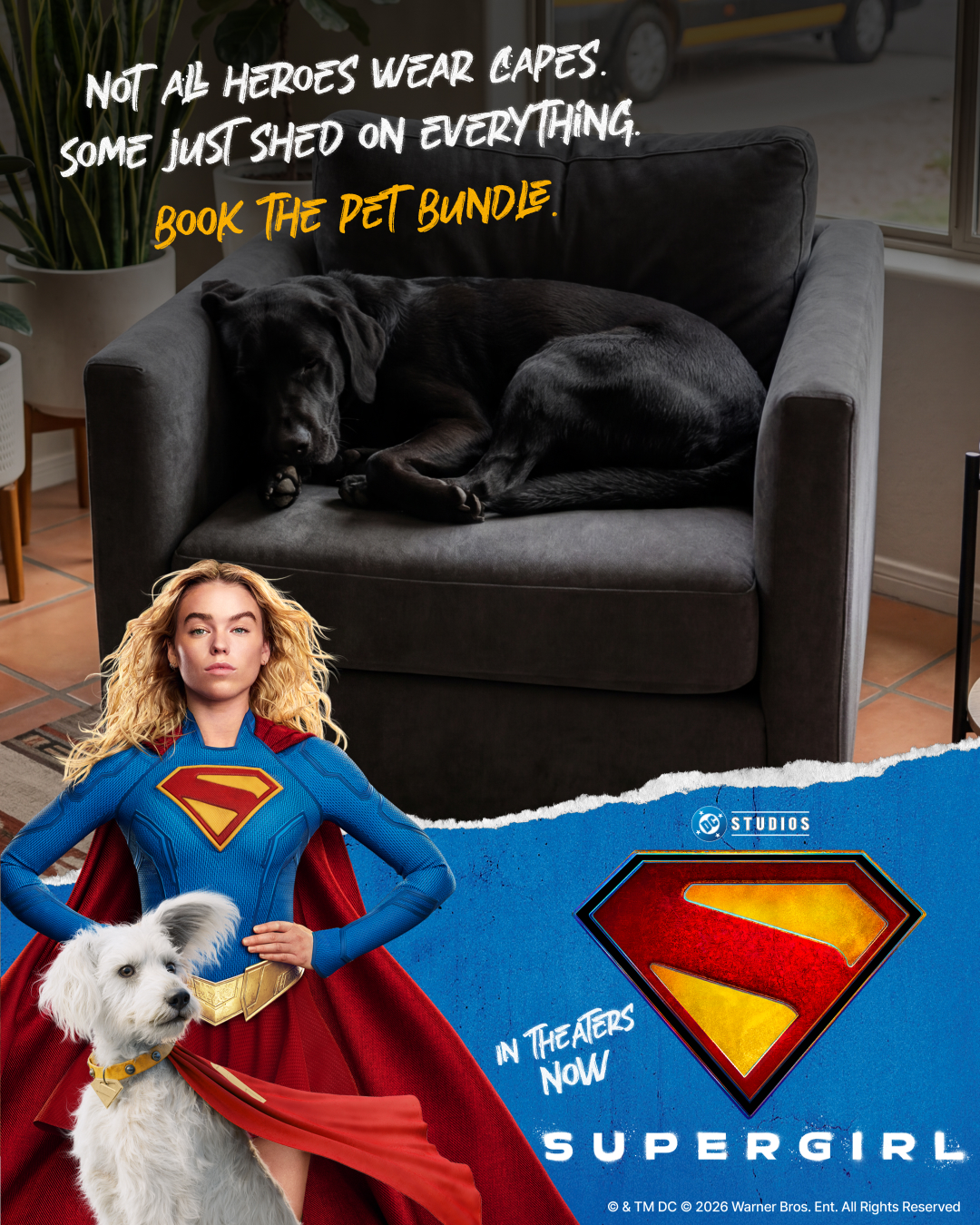 Stanley Steemer Facebook ad