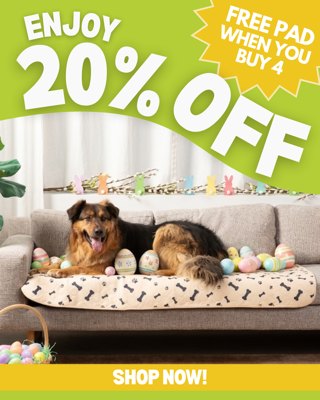 Potty Buddy Facebook ad