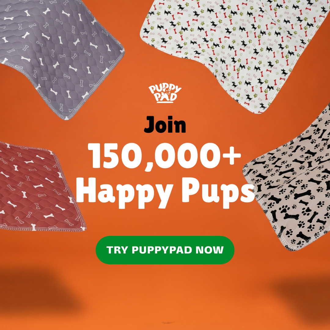 PuppyPad Facebook ad