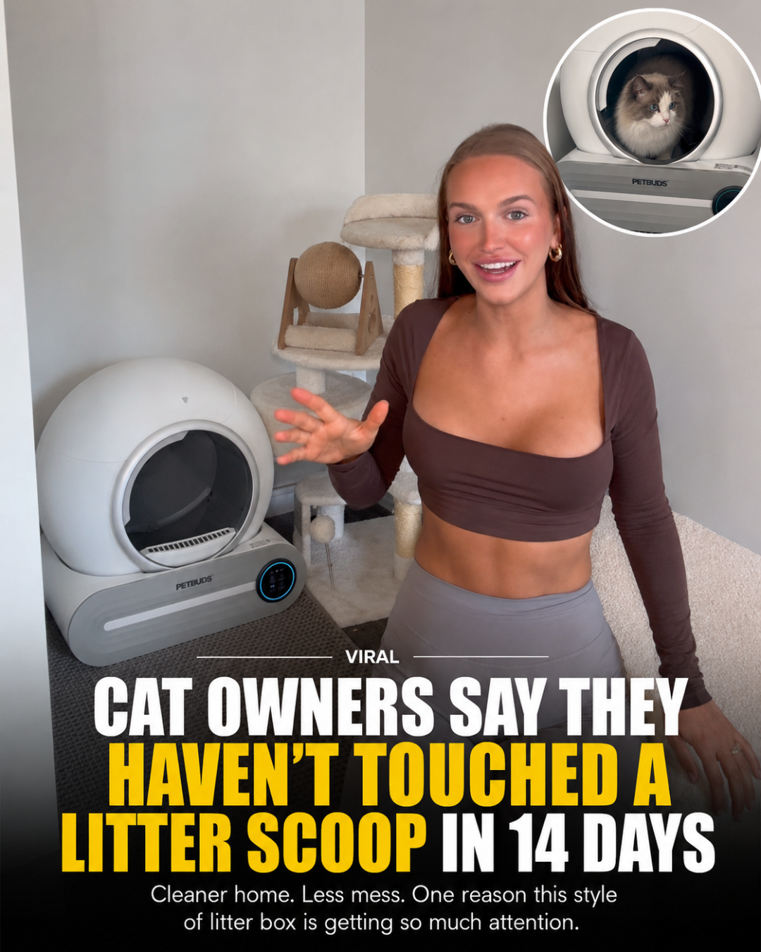 Petbuds Facebook ad