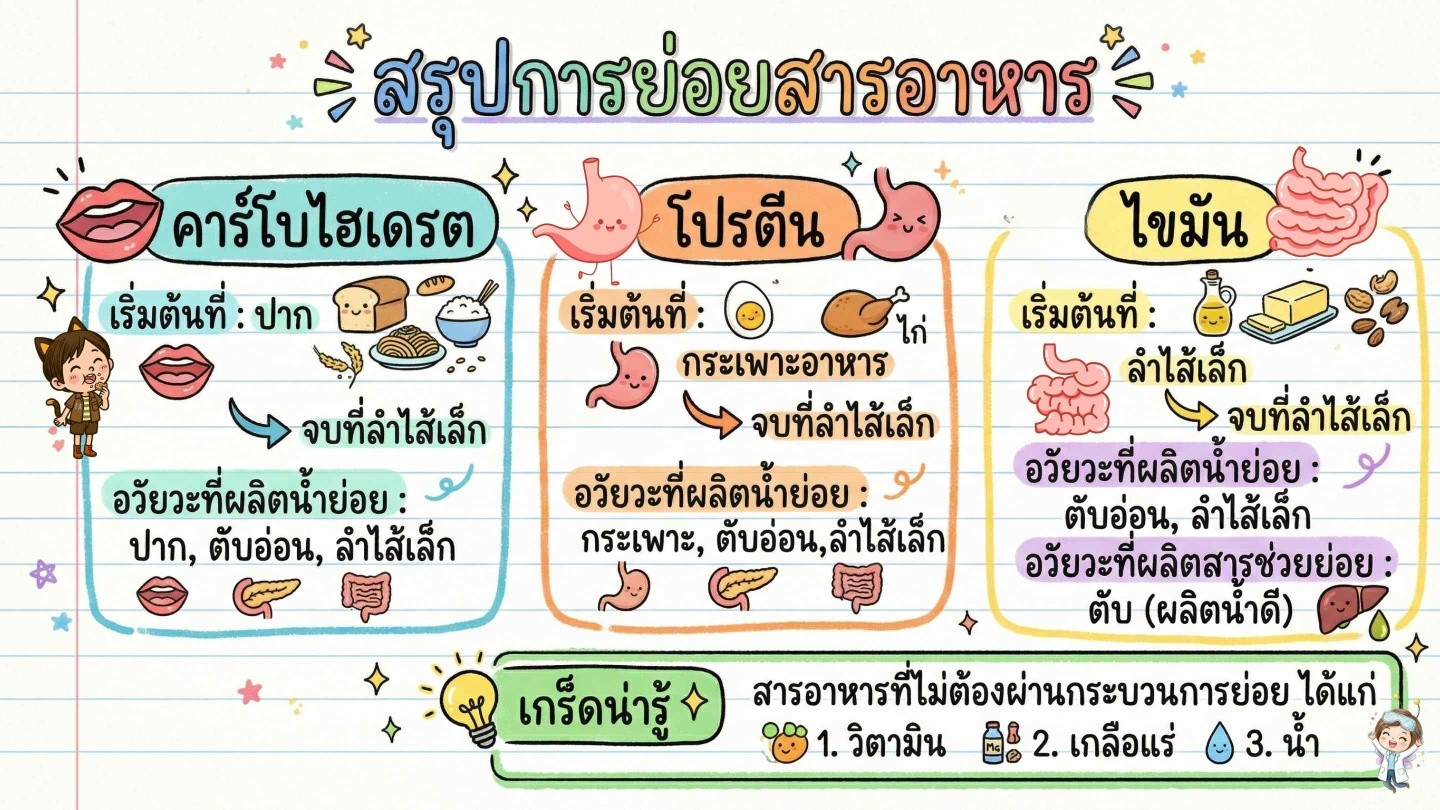 ทดลองวิทย์ครูฟา Facebook ad: มาเตรียมสอนให้พร้อมรับเปิดเทอมกันเถอะ