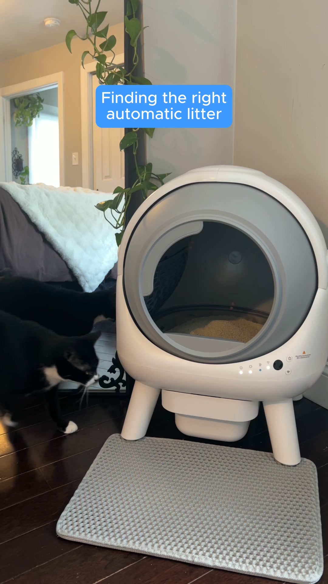 Boxiecat Facebook ad: Stop Clogging Your Automatic Litter Box