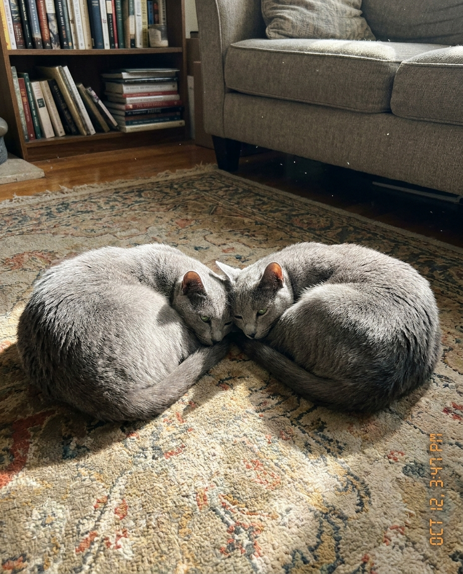 Pet Health Insiders Facebook ad