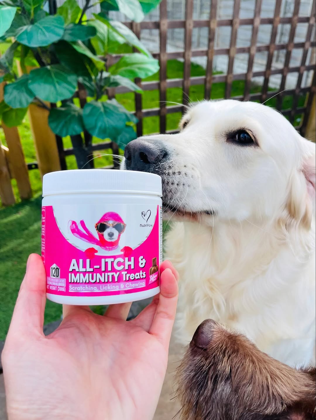 Nutri Paw Facebook ad