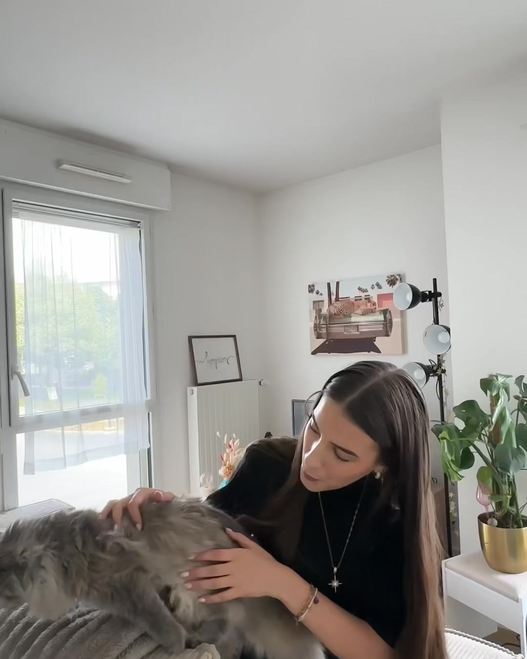 Loiizadf Facebook ad: FAITES RONRONNER VOTRE CHAT