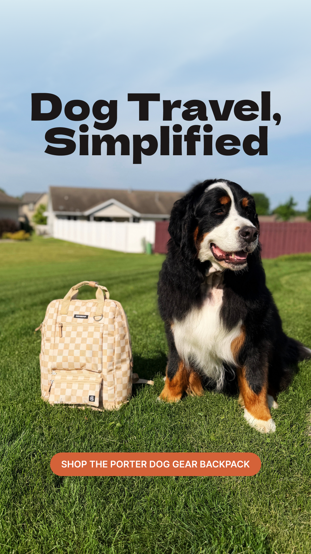 Cleverpup Facebook ad