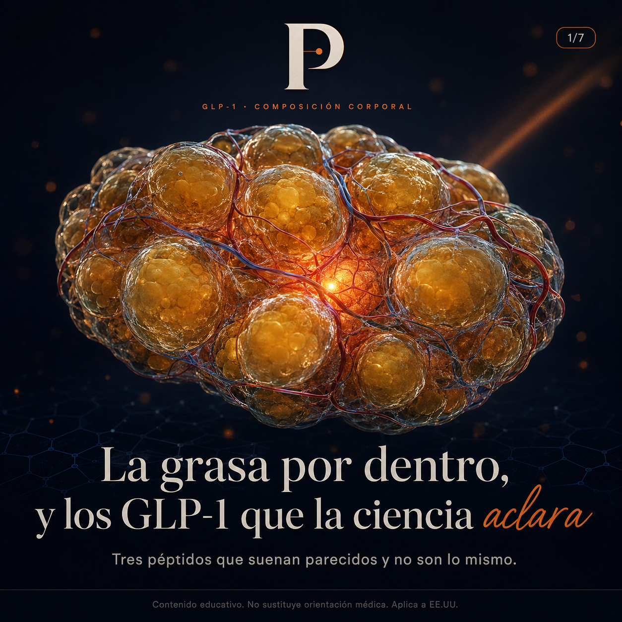 Prime Physique Facebook ad: Todo el mundo habla de los péptidos GLP-1…