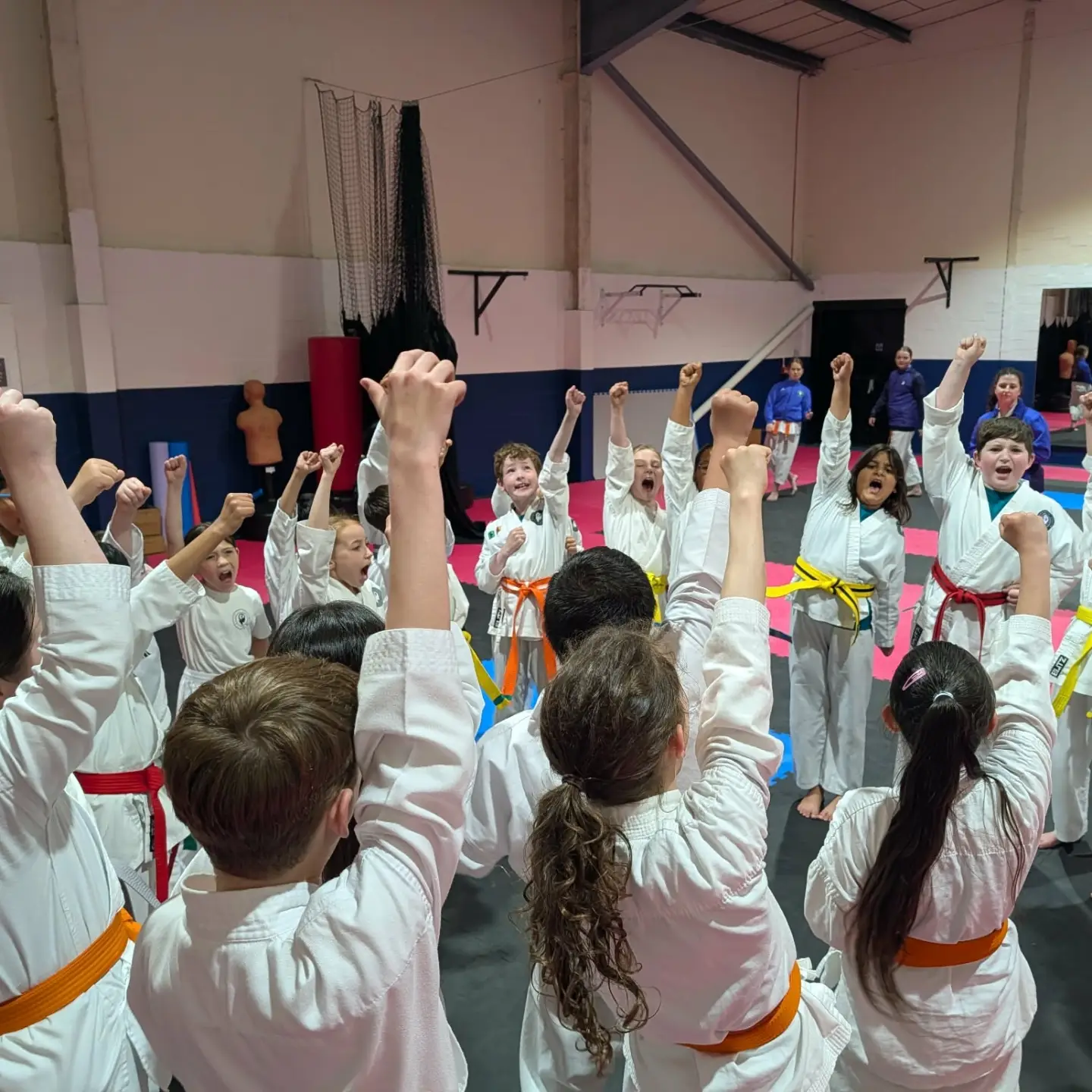 Mindsparx Karate Academy Facebook ad
