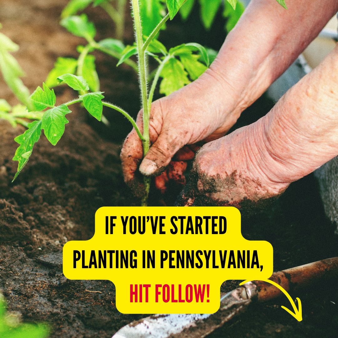 Pennsylvania Gardener Facebook ad from Mar 31, 2026