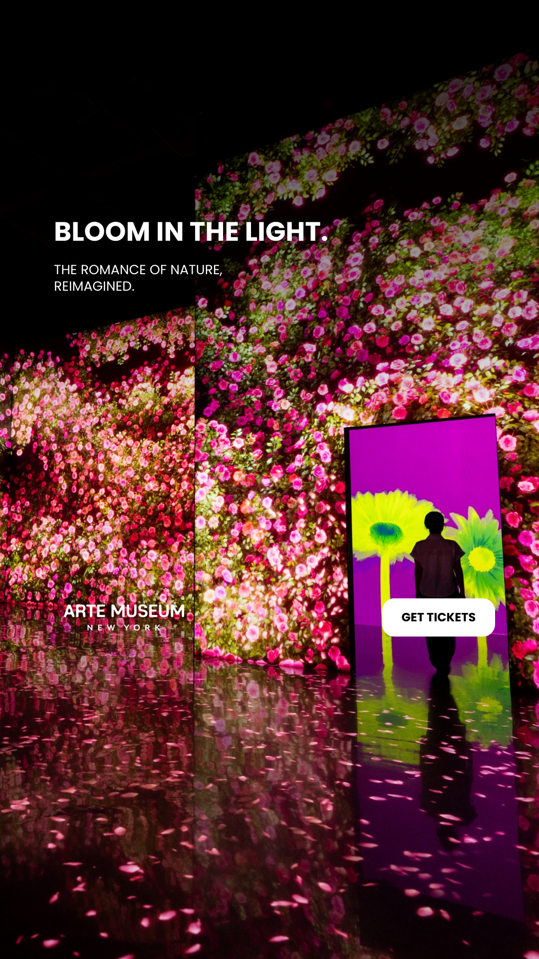 Arte Museum New York Facebook ad