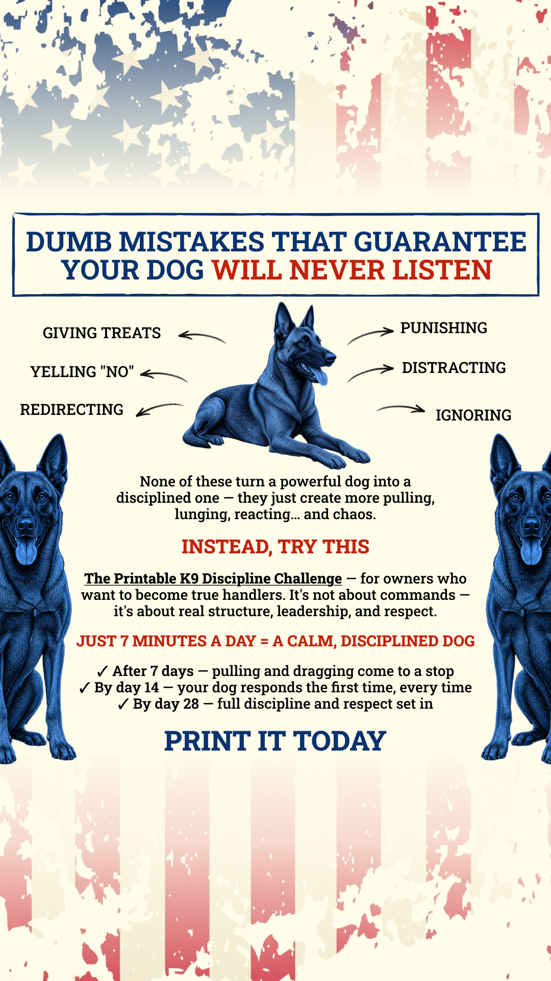 Dog Training Program Facebook ad: Take the lead. Start now