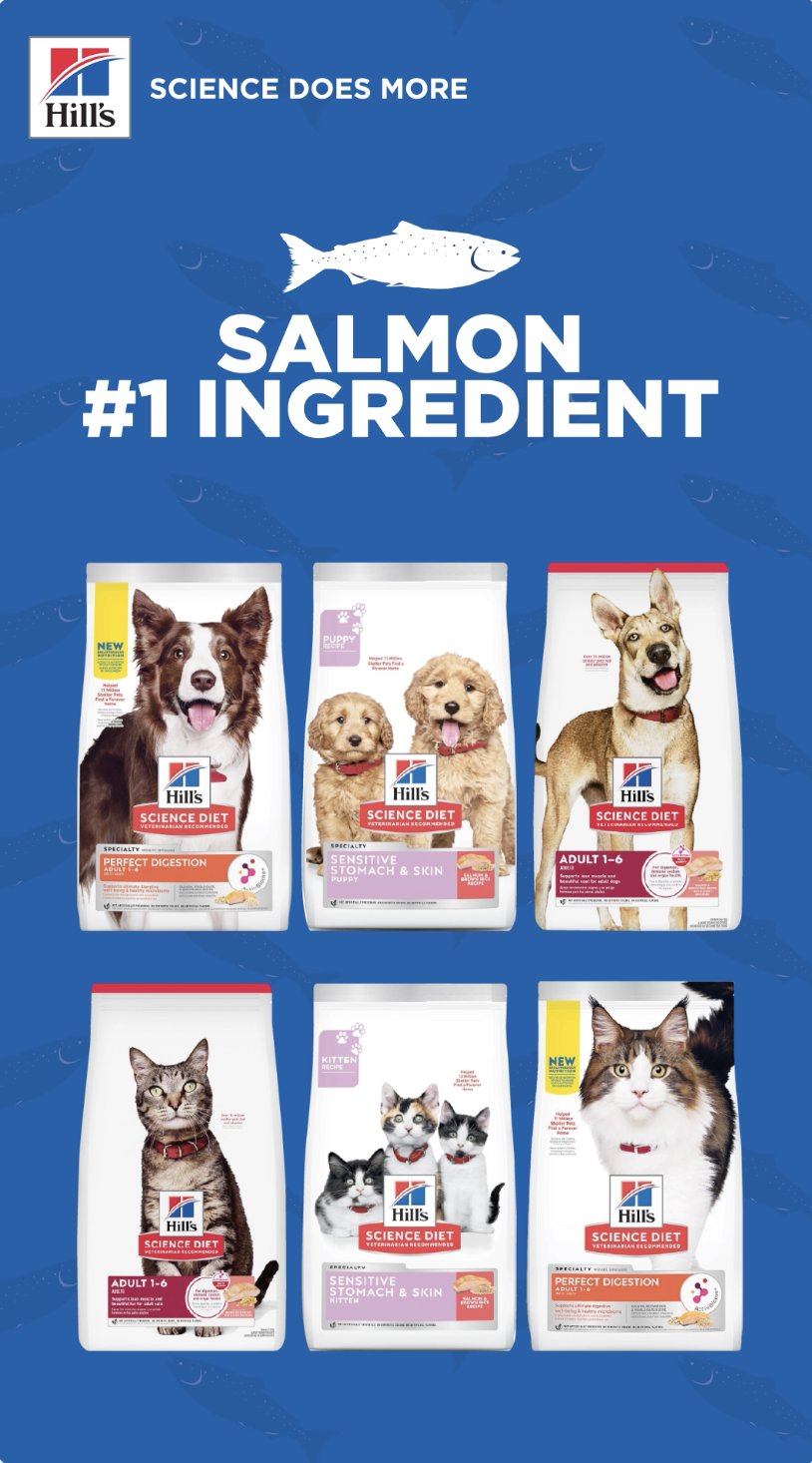Hill's Pet Nutrition Singapore Facebook ad from May 1, 2026