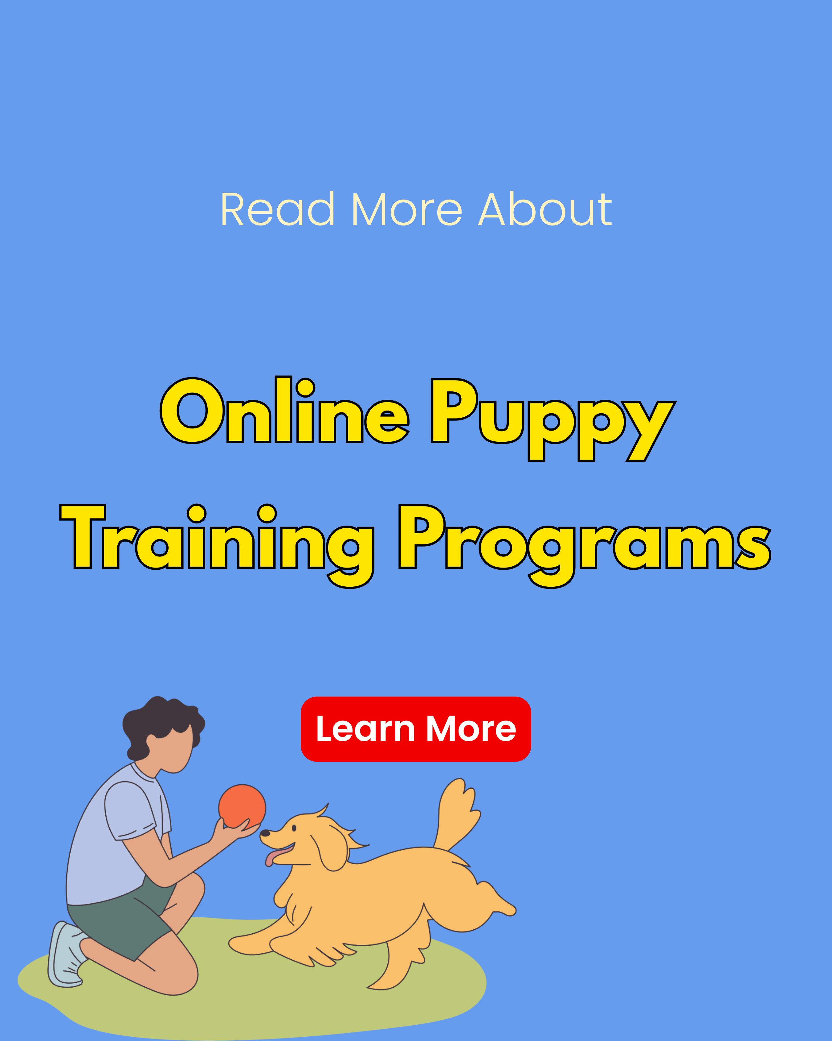 TotalityTalks Facebook ad: Learn About Online Puppy Training Programs