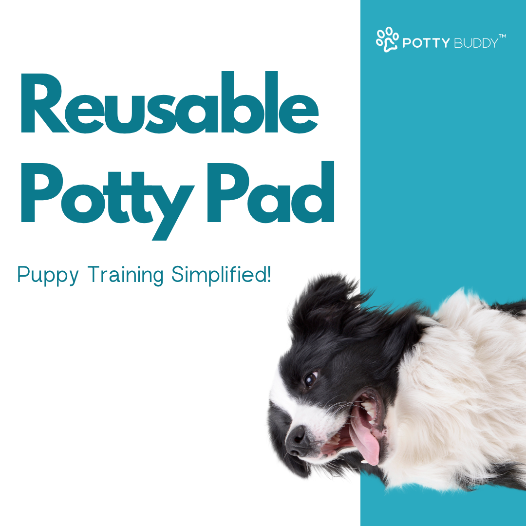Potty Buddy Facebook ad