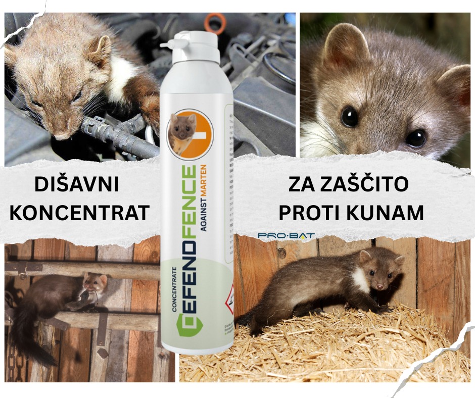 Pro-bat doo Facebook ad: Dišavni koncentrat za ZAŠČITO PROTI KUNAM