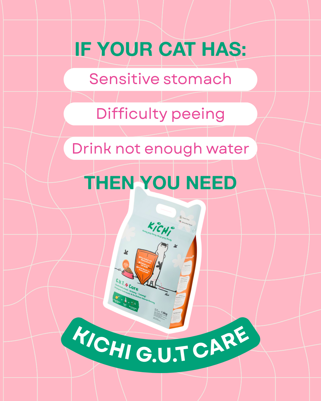 Kichi Cat Food Facebook ad