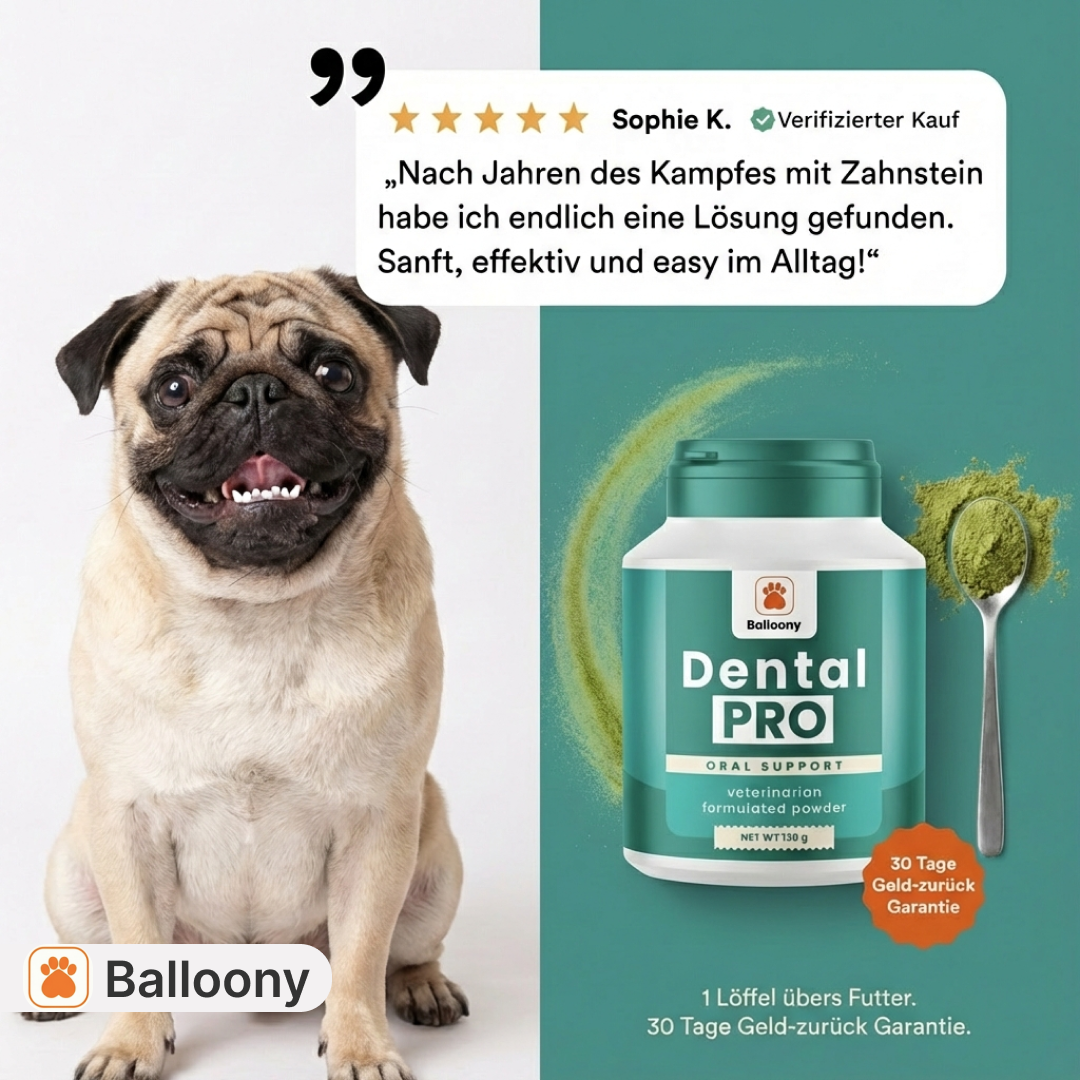 Balloony.pet Facebook ad