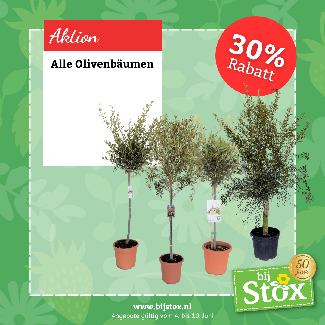 Tuincentrum BijStox Facebook ad