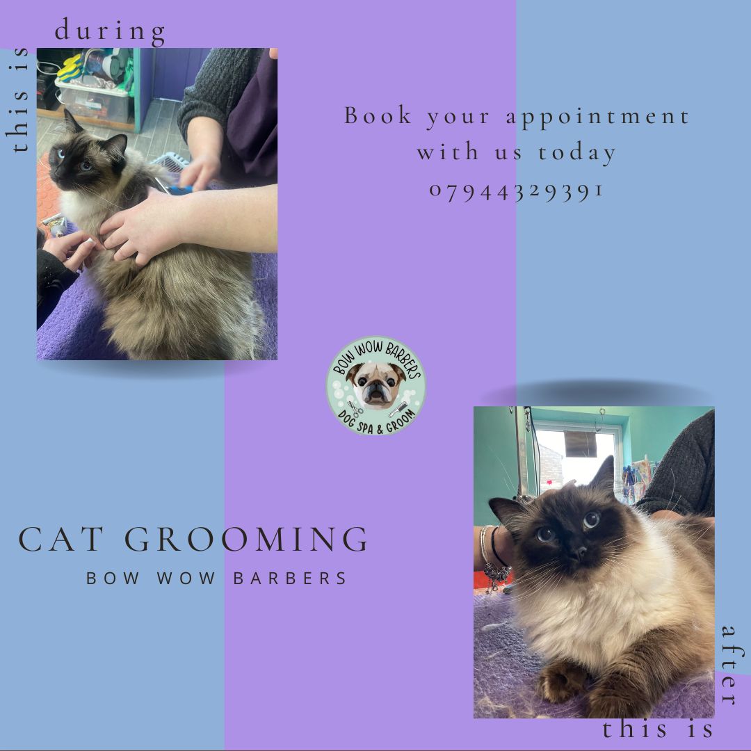 Bowwowbarbers Facebook ad
