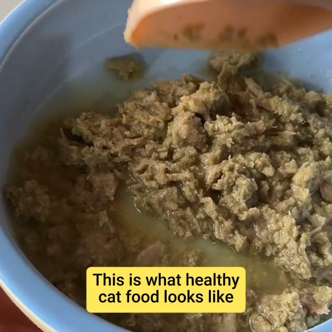 Smalls Facebook ad: Human-Grade Fresh Cat Food