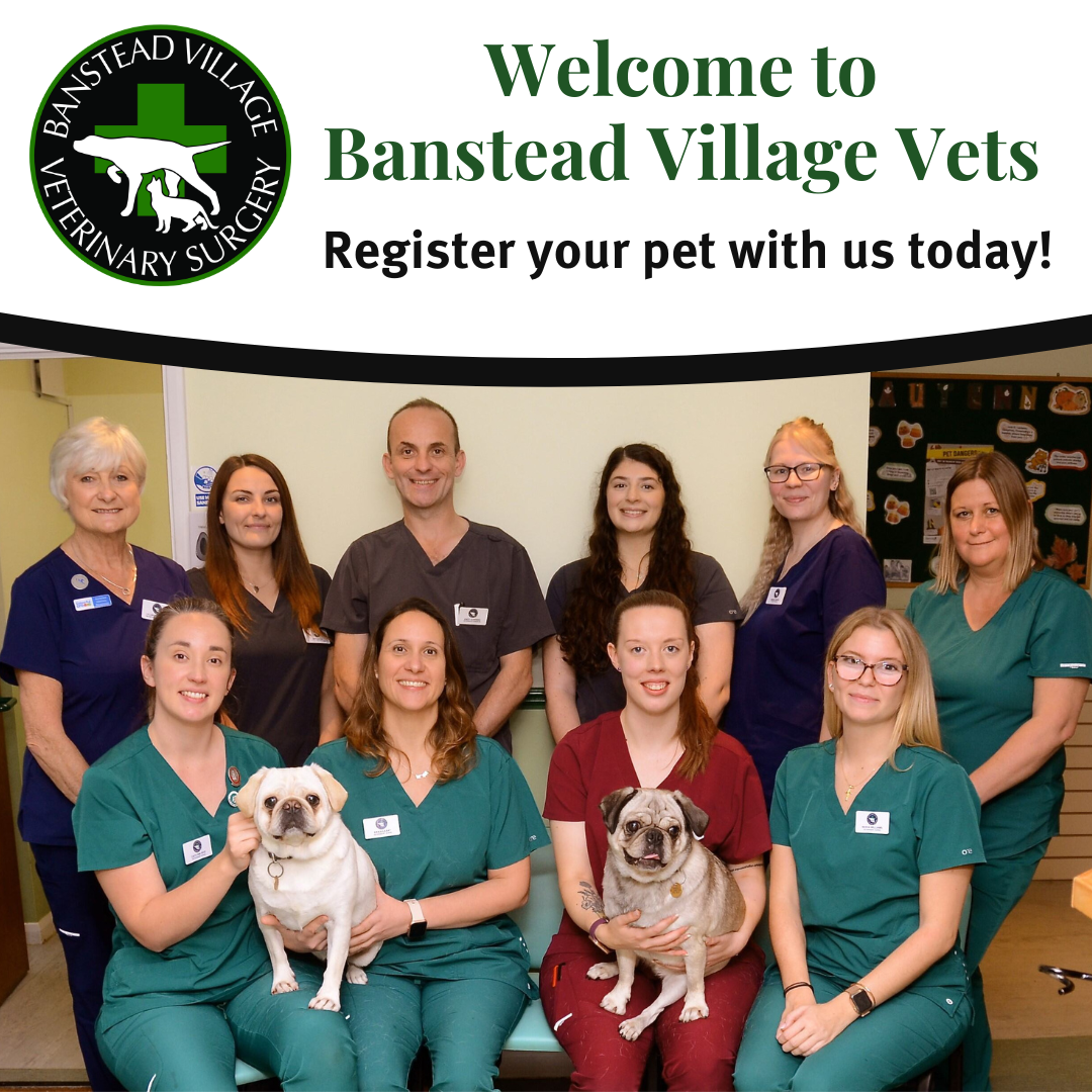 Banstead Village Vets Facebook ad: Register - Banstead Village Vets