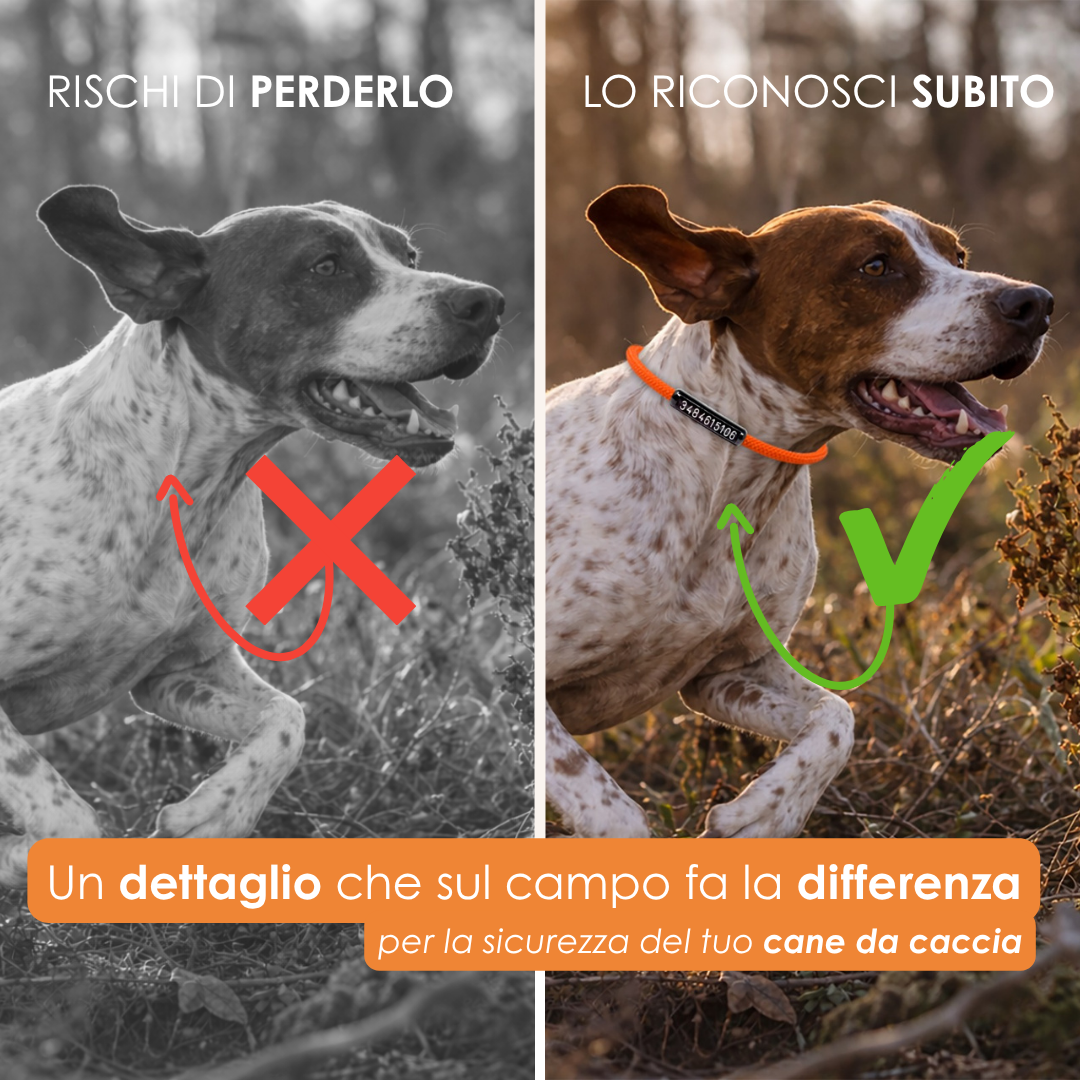 Cinofilia Panno Facebook ad