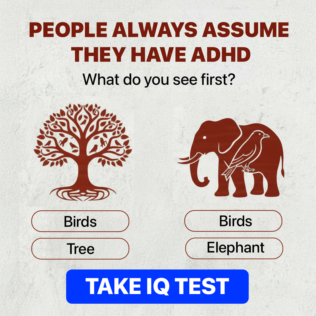 My IQ Facebook ad