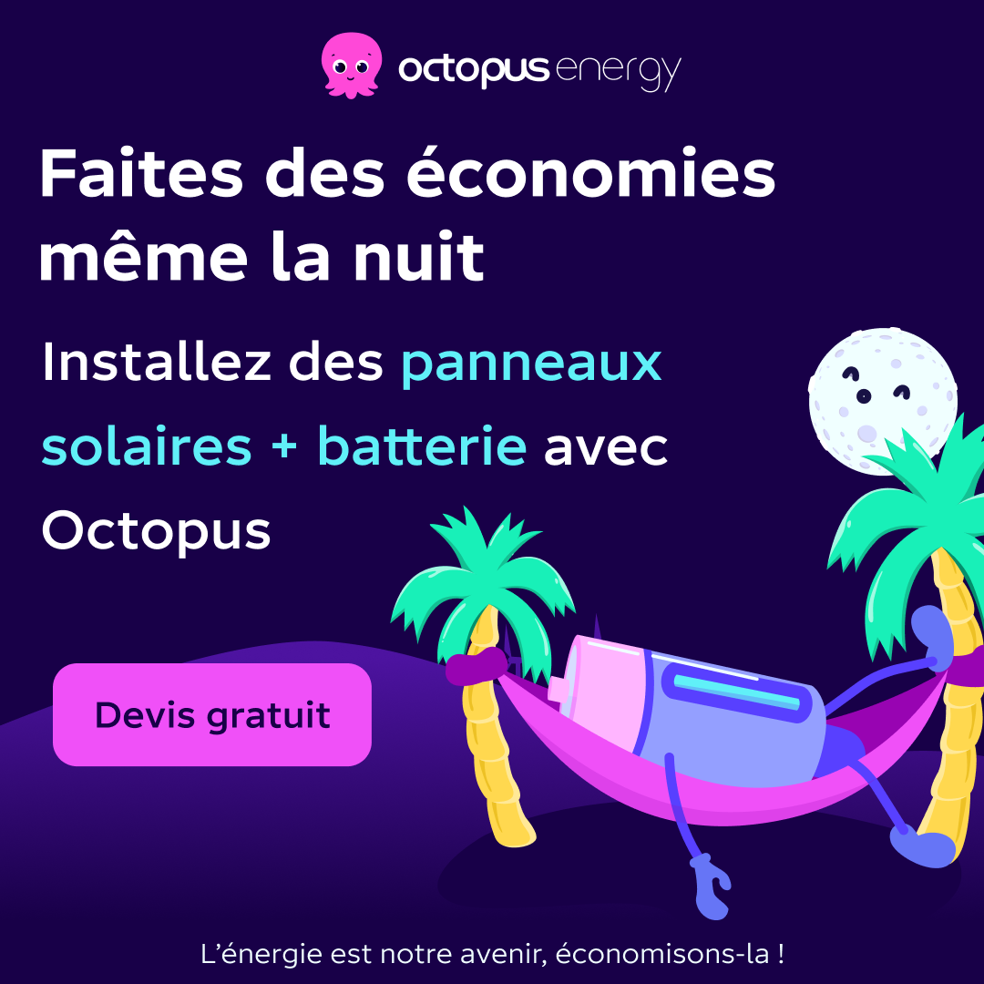 Octopus Energy Facebook ad