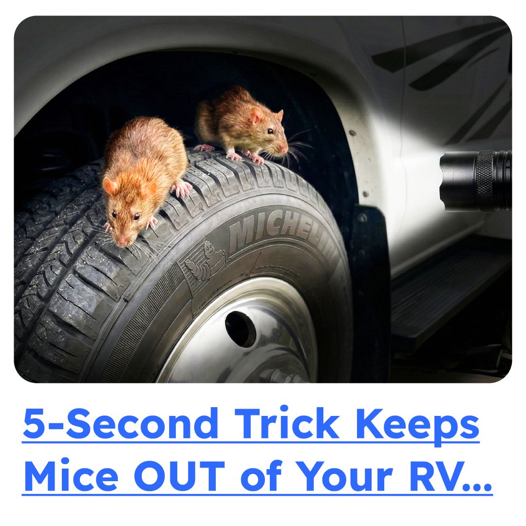 RV Life 101 Facebook ad