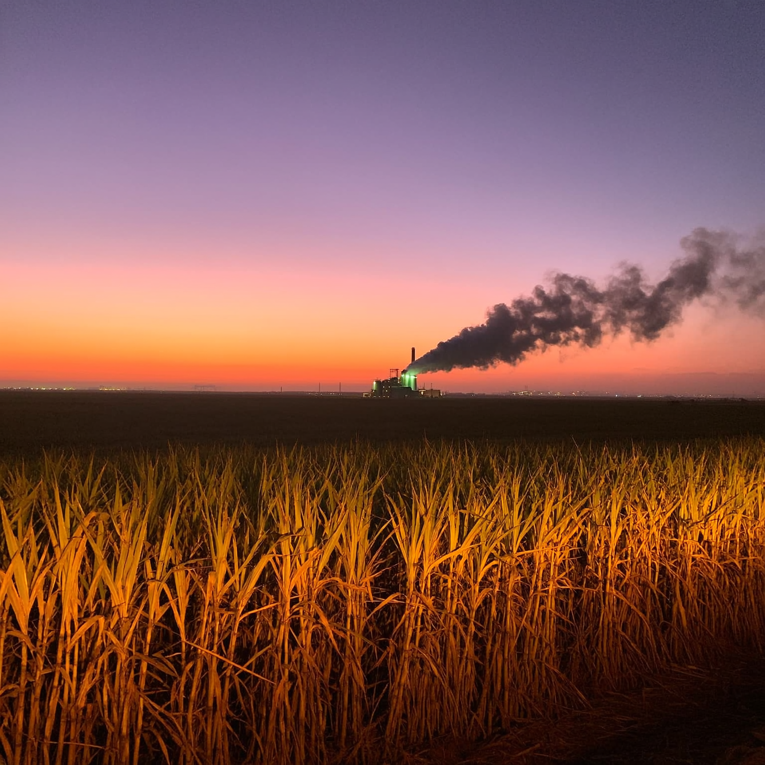 Luke Harris Facebook ad: This tool would have saved my sugarcane