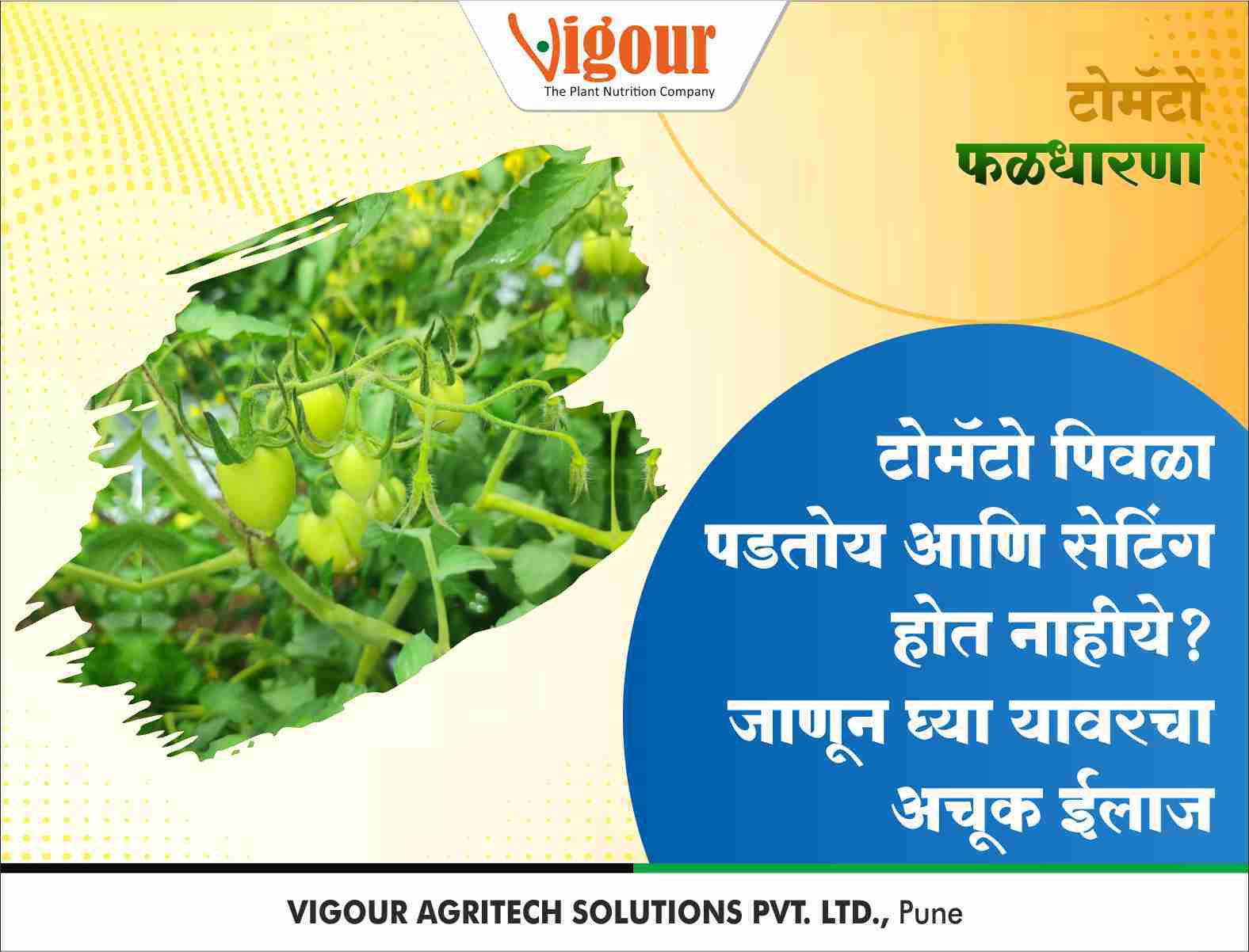 Vigour Agritech Solutions Pvt. Ltd. Facebook ad: कळी गळतेय आणि पिवळेपणाने त्रस्त आहात? - Vigour Agritech