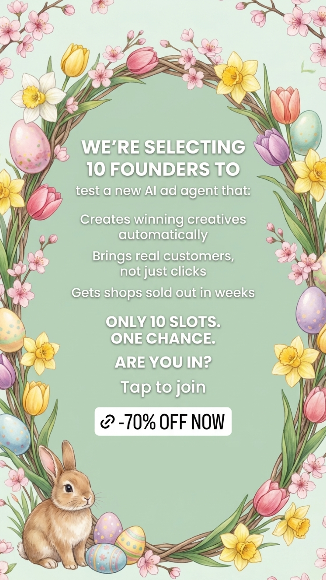 Zeely Facebook ad