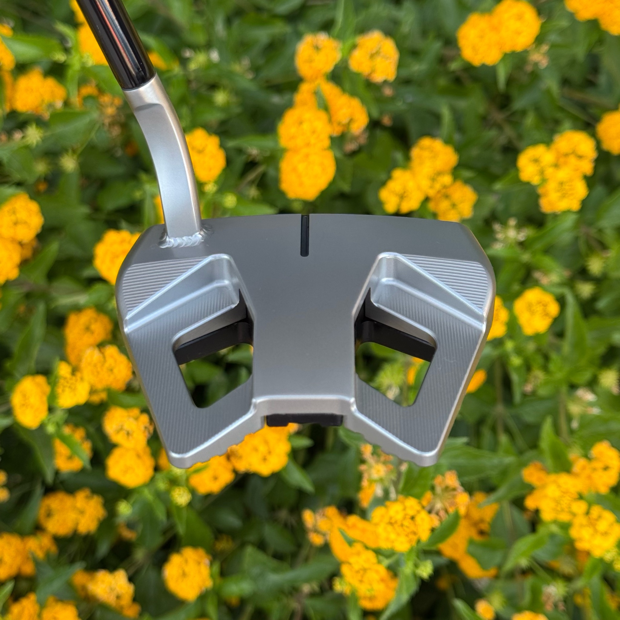 Embrace Putters Facebook ad
