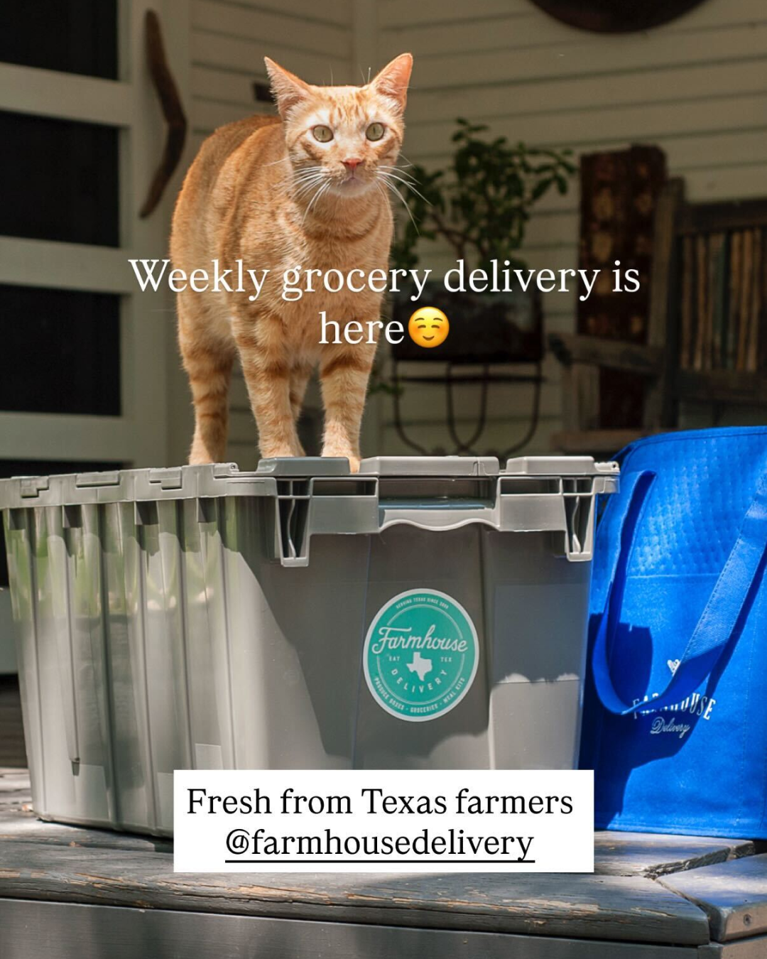 Farmhouse Delivery Facebook ad from Jan 23, 2026
