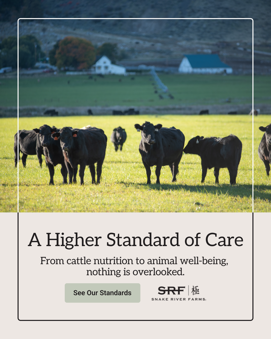 Snake River Farms Facebook ad