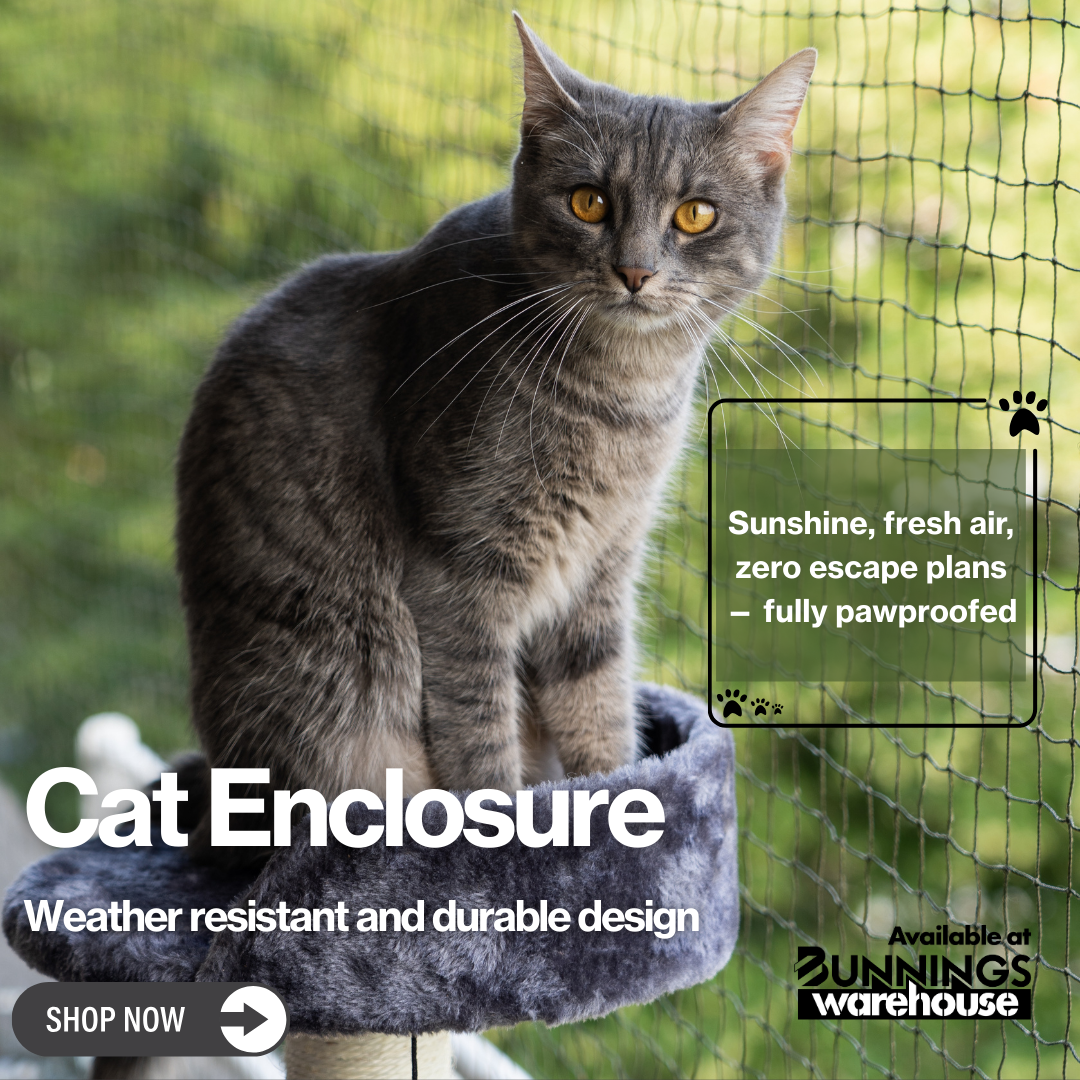 RapidProducts Facebook ad: Rapid Cat Enclosure