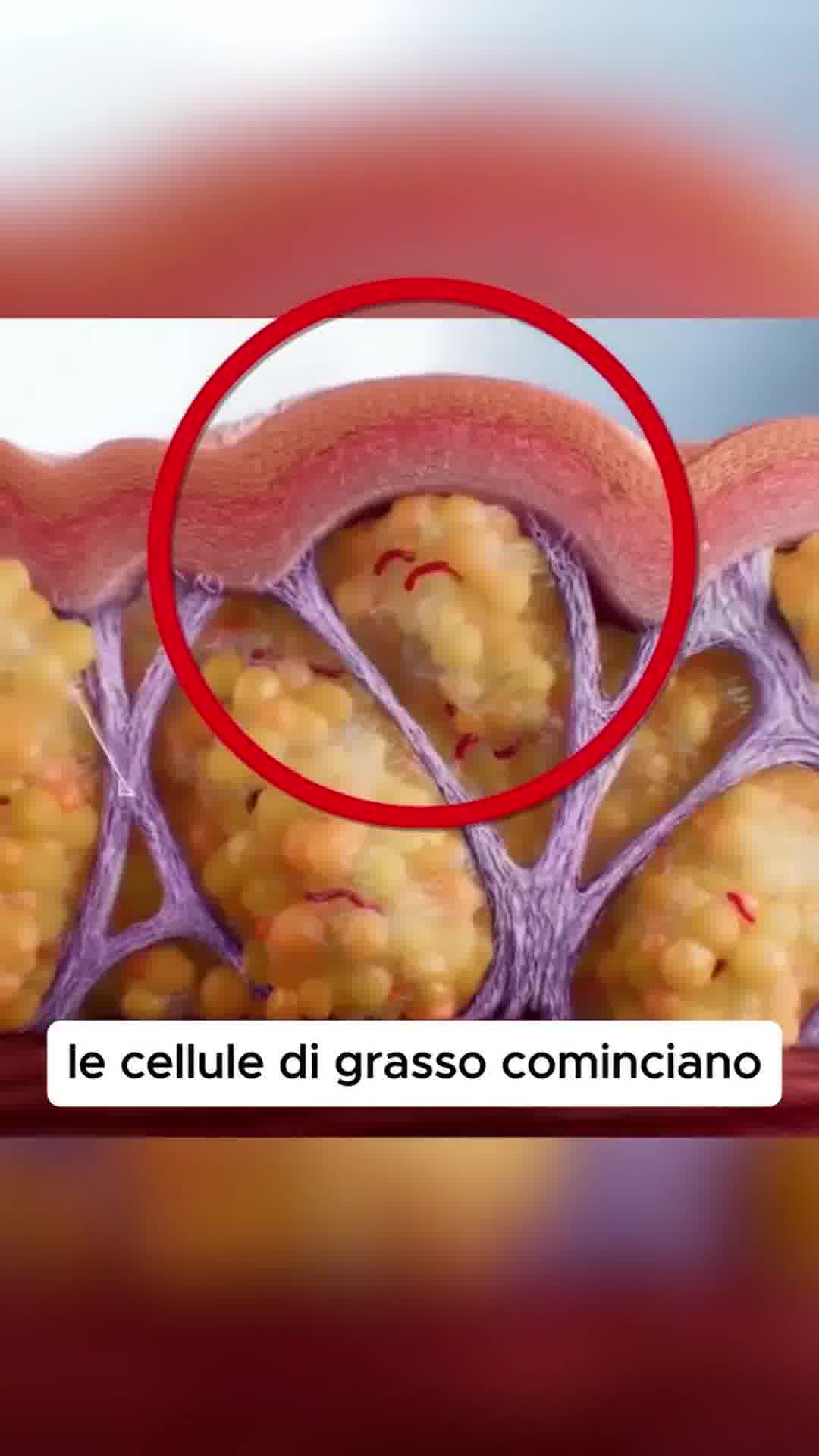 FittaBella Facebook ad: Zero creme, zero laser, zero chimica.