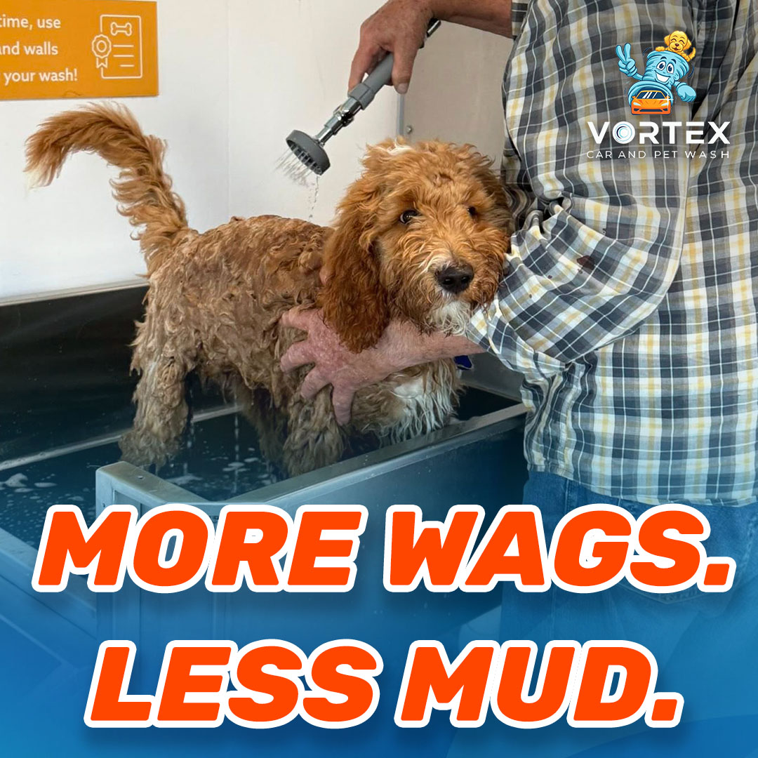 Vortex Car Wash Facebook ad: Vortex Pet Wash Memberships Now Available!