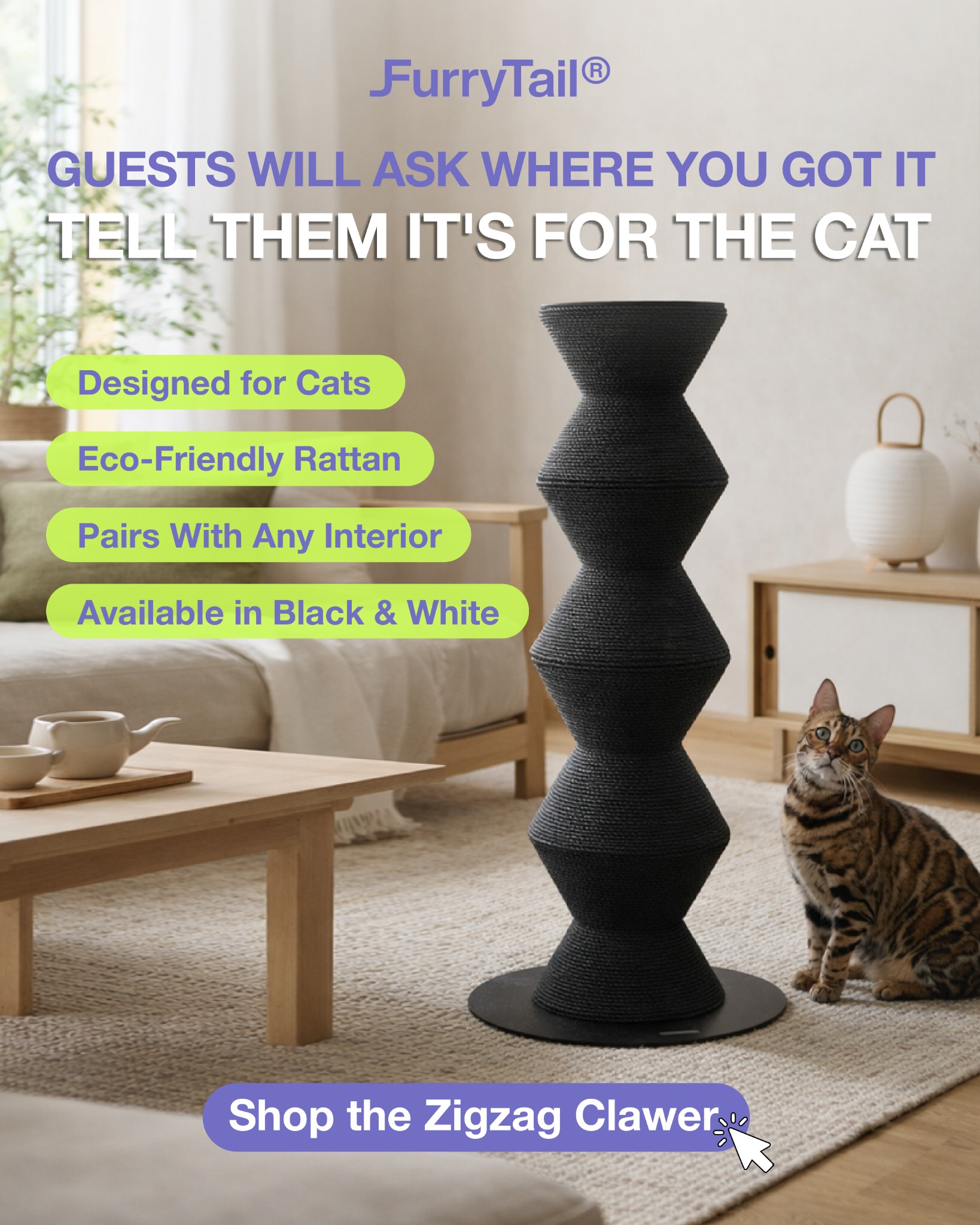 Furrytail_us Facebook ad