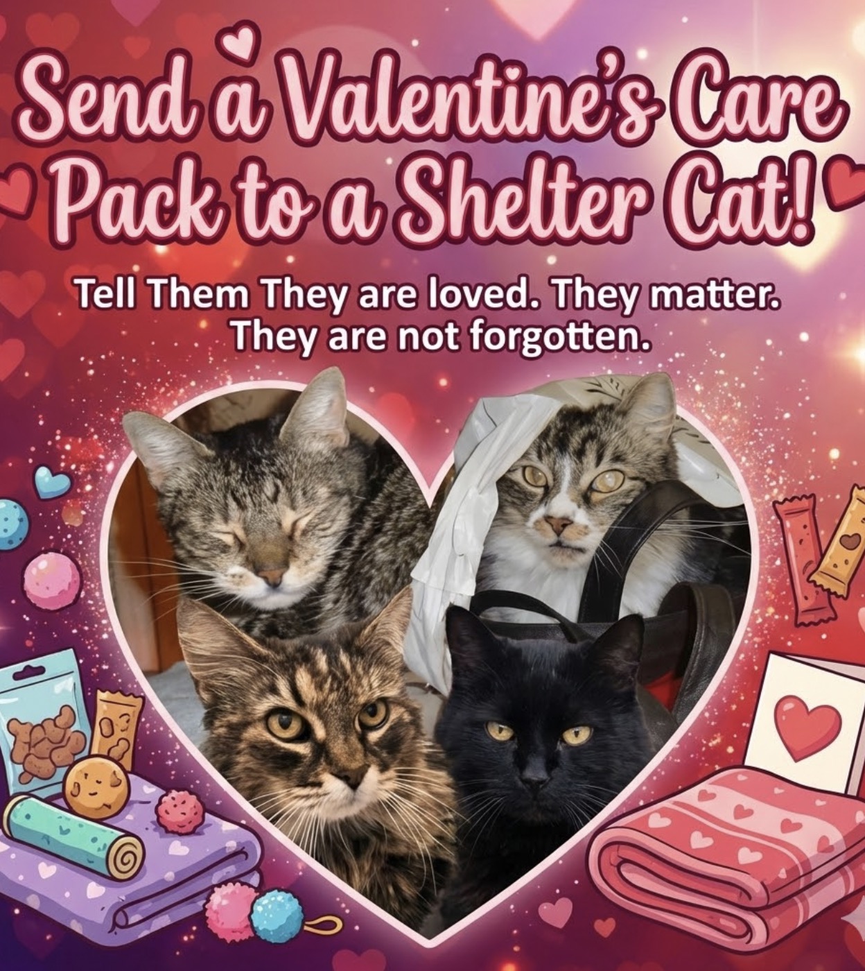 iHeartCats.com Facebook ad