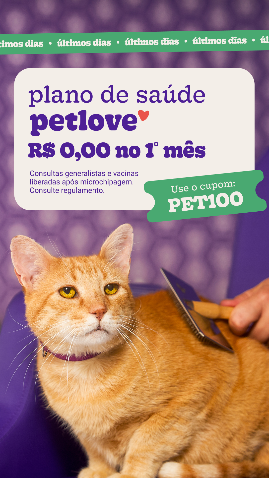 Petlove Facebook ad