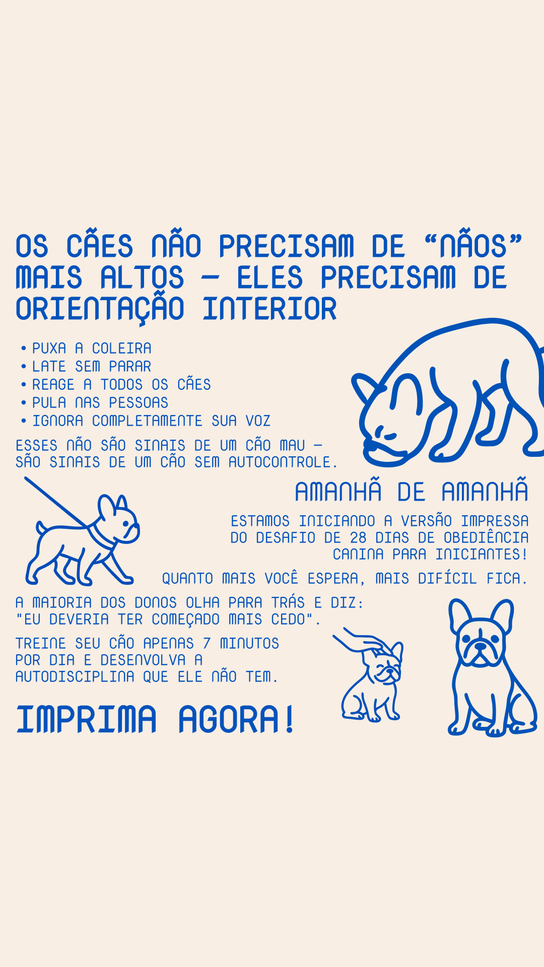 28 Day Dog Obedience Challenge Facebook ad