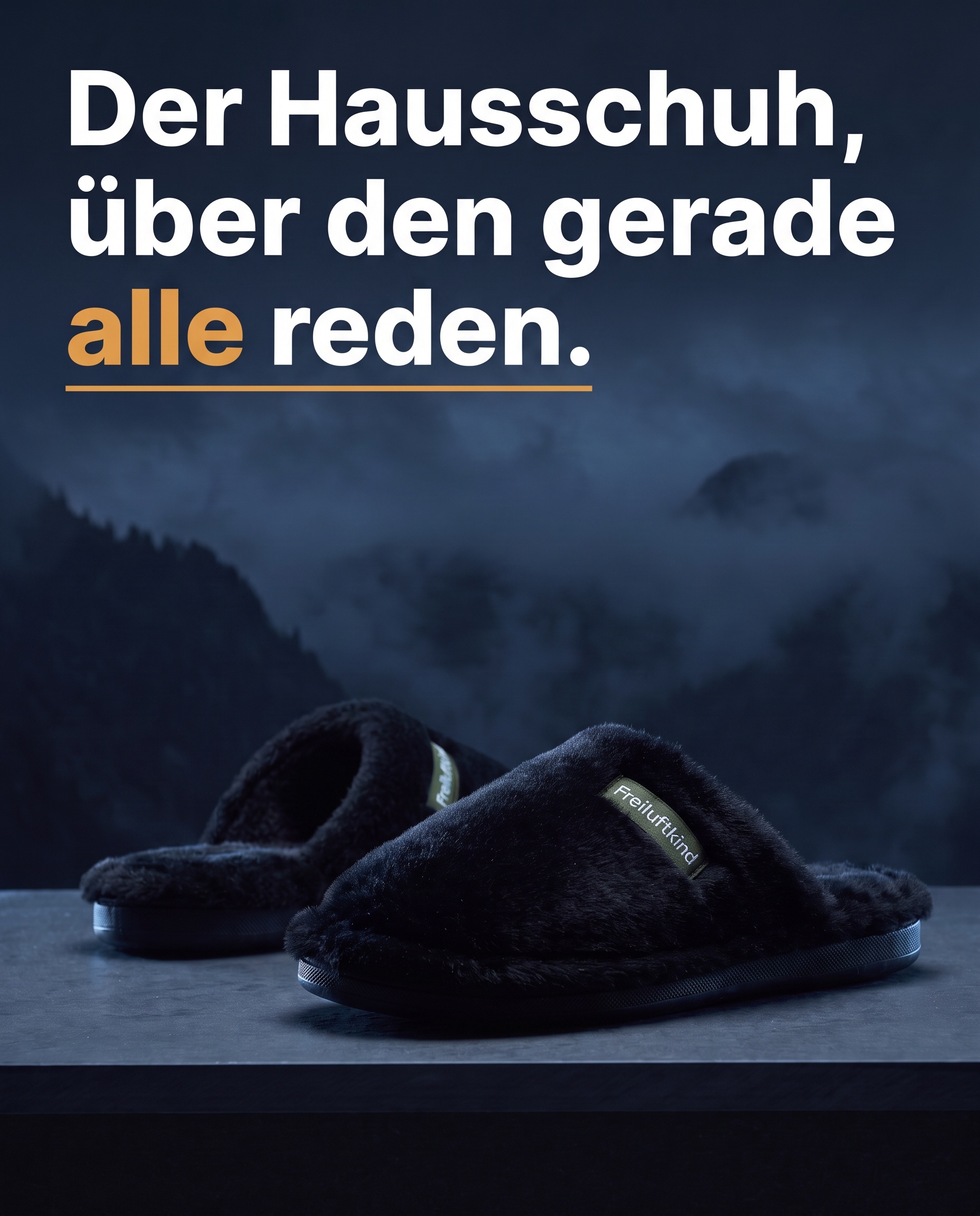 Freiluftkind Facebook ad: Homie, der orthopädische Hausschuh, den gerade alle tragen